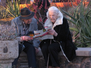 beth's Dale Chihuly pictures -