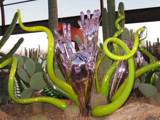 beth's Dale Chihuly pictures -