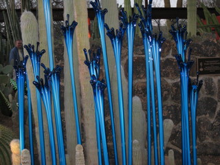 beth's Dale Chihuly pictures -