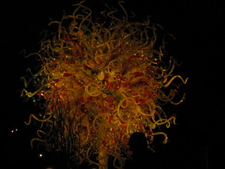 beth's Dale Chihuly pictures -