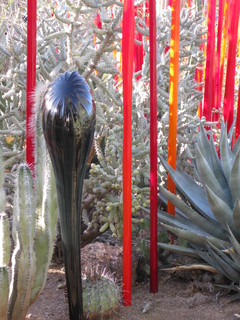 beth's Dale Chihuly pictures -