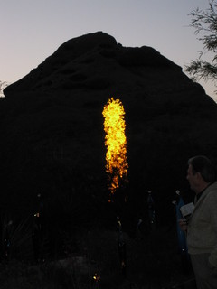 beth's Dale Chihuly pictures - Dita