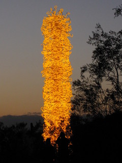 beth's Dale Chihuly pictures -
