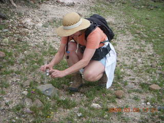 Cave Creek mine hike - Beth taking flower picture