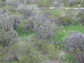 beths' pictures - Dita's partly-yellow house