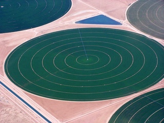 aerial - irrigation circles - Ken's picture