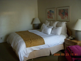 Nancy's fancy hotel room at Cottonwood Resort