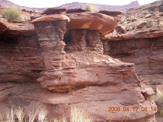 Canyonlands - Lathrop trail hike - White Rim road - sign