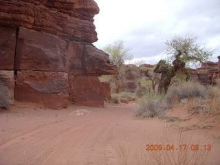 Canyonlands - Lathrop trail hike