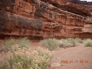 Canyonlands - Lathrop trail hike - picnic tables