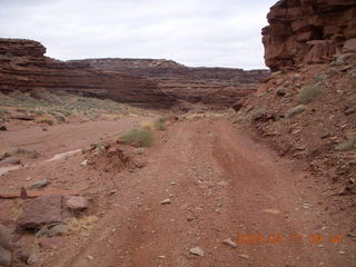 Canyonlands - Lathrop trail hike