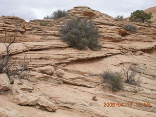 235 6uh. Canyonlands - Lathrop trail hike