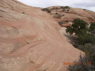 Canyonlands - Lathrop trail hike