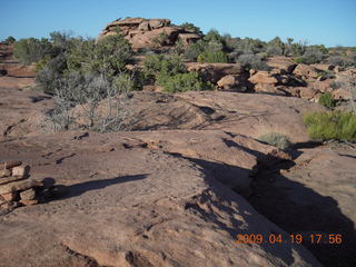 174 6uk. Canyonlands National Park - Murphy Trail run