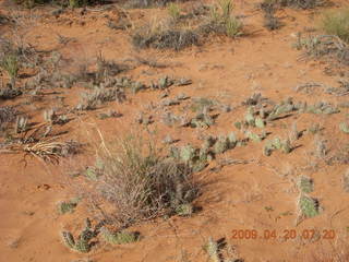 Arches National Park - Devil's Garden hike