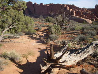 Arches National Park - Devil's Garden hike