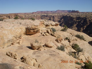 Brown's Rim - canyon area