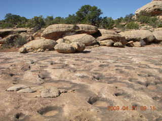 Brown's Rim - Cateract Canyon area