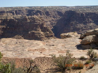 Brown's Rim - canyon area