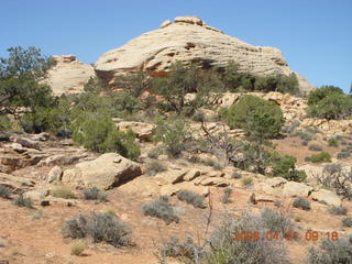 46 6um. Brown's Rim - Cateract Canyon area