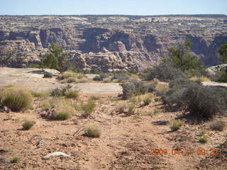 Brown's Rim - Cateract Canyon area