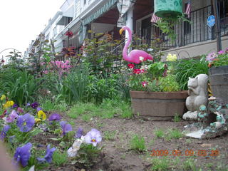 flowers in Philly