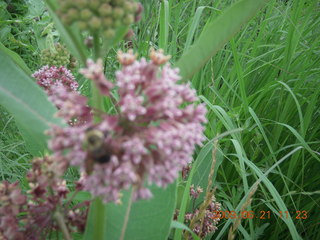 Pennypack Park by the Delaware River