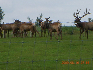 Kevin's place in Welch, Minnesota