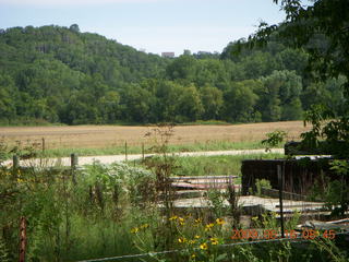 Kevin's place in Welch, Minnesota, run - deer