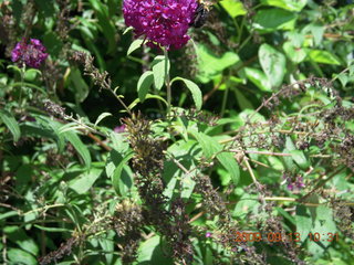 48 6zd. Philadelphia Zoo - where the butterfly was