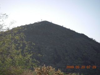 cactus on mountain top