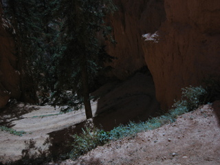 136 702. Bryce Canyon amphitheater hike