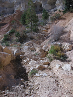 Bryce Canyon amphitheater hike