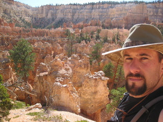 Bryce Canyon amphitheater hike - yellow flowers