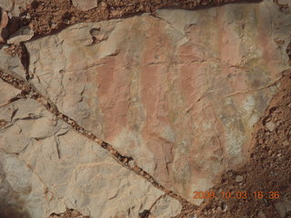 179 703. Kodachrome Basin State Park - angled fissure -