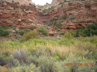 Escalante - Calf Creek trail