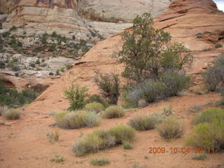 61 704. Escalante - Calf Creek trail