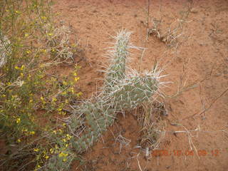 64 704. Escalante - Calf Creek trail