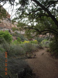 77 704. Escalante - Calf Creek trail