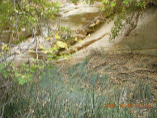 100 704. Escalante - Calf Creek trail