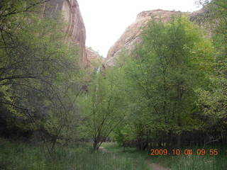 101 704. Escalante - Calf Creek trail