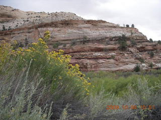 Escalante - Calf Creek trail - waterfall