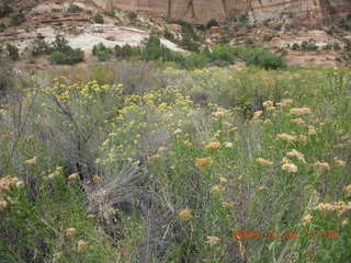 Escalante - Calf Creek trail - waterfall