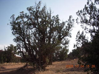 Escalante to Kodachrome - Panorama trail