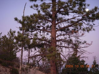 Bryce Canyon - rim from Fairyland to Sunrise - moon