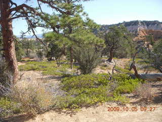 Bryce Canyon - Fairyland trail - Neil