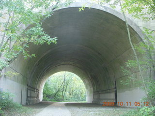 Pennypack Park run