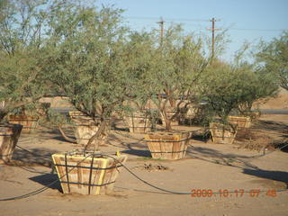 Chandler Airport (CHD) run along canal