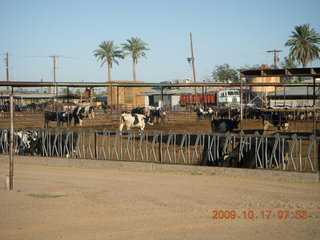 Chandler Airport (CHD) run along canal