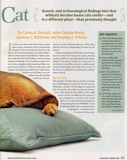 _Scientific American_ all about cats